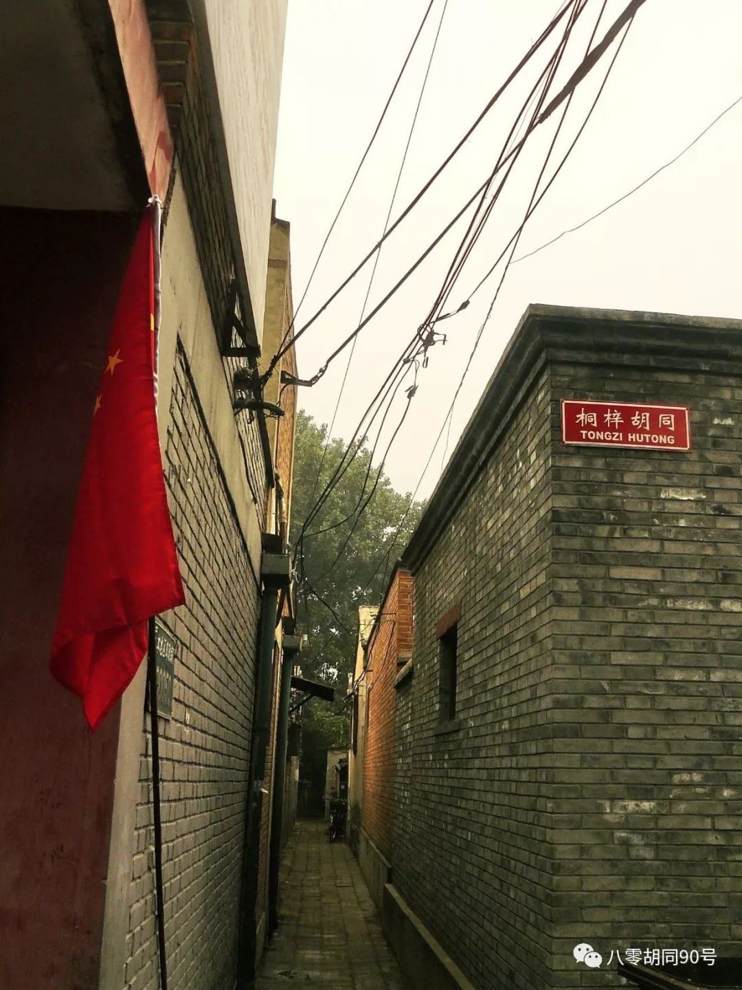 1696587818965.jpg